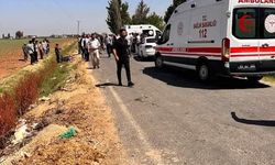 Şanlıurfa’da trafik kazası, 2 yaralı