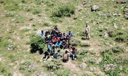 Edirne'de 69 düzensiz göçmen yakalandı