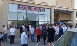 Viranşehir’de 2 kişinin öldüğü silahlı kavgada, 1 kişi tutuklandı