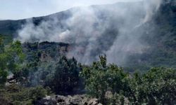 Muğla'da orman yangını