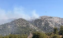 Muğla'nın Milas İlçesinde Orman Yangını: Müdahale Devam Ediyor