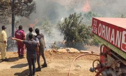 Aydın'da saatlerdir süren orman yangını kontrol altına alındı
