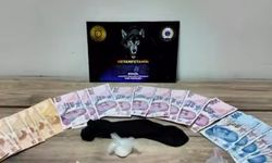 Bingöl'de uyuşturucu operasyonu