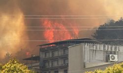 Bursa'da orman yangını: Mahalle tahliye edildi