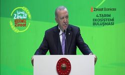 Cumhurbaşkanı Erdoğan'dan yeni "tarım kredisi" desteği