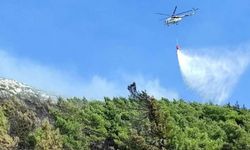 Hatay'da ormanlık alanda yangın