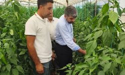 HÜDA PAR Milletvekili Dinç, çiftçilerin sorunlarını dinledi