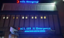 Husumetlilerin kavgasında kan aktı