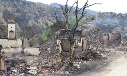 Orman yangınlarından etkilenenlere hane başına 162 bin TL'lik destek