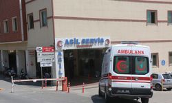 Şanlıurfa’da tır otomobile çarptı: 1 yaralı