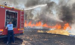 Siirt Valiliğinden çevre yangınlarına karşı uyarı