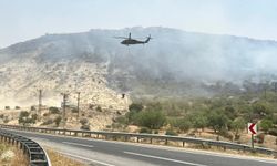 Son iki günde çıkan orman yangınlarından 8'i sürüyor