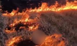 Anız yaktığını sosyal medyada paylaşan çoçuk gözaltına alındı
