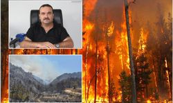 Batman İtfaiye Müdürü Altsoy: Ormanlarımızı kendi ellerimizle yakıyoruz