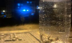 Batman Yenişehir Mahallesi’ni akrepler sardı