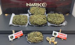 Batman'da 4 kiloyu aşkın skunk ve toz esrar ele geçirildi