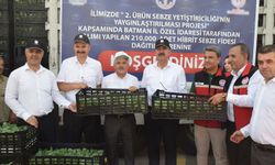 Batman'da sebzeye 40 milyon TL'lik kış desteği