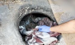 Batman'da tandırda 3 kilo uyuşturucu ele geçirildi