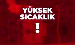 Bingöl Valiliği'nden sıcak hava ve orman yangını uyarısı