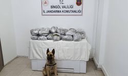 Bingöl'de 49 kilo 600 gram kubar esrar ele geçirildi