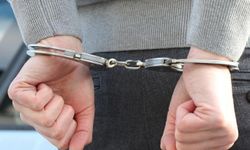 Bingöl'de aranan 2 şüpheli jandarma ekiplerince yakalandı