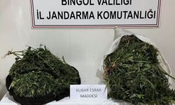 Bingöl'de17 kilogram esrar ele geçirildi: 4 gözaltı