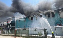 Bolu'da fabrika yangını