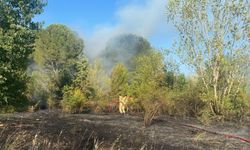 Bursa'daki orman yangınlarında 9 gözaltı