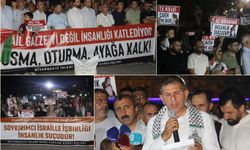 Diyarbakır İslami STK'larından Cumhurbaşkanı'na Gazze çağrısı: Somut ve fiili adımlar atmanızı bekliyoruz
