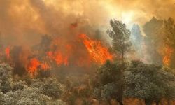 Eskişehir'deki orman yangınında hayatını kaybedenlerin isimleri belli oldu  
