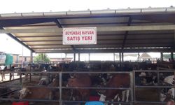 Gaziantep İl Tarım ve Orman Müdürlüğünden hayvan pazarlarıyla ilgili açıklama