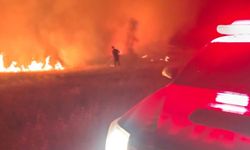 Hatay orman yangını soruşturmasında bir kişi tutuklandı
