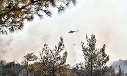 İzmir'de orman yangınlarıyla mücadele sürüyor