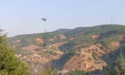 Malatya Valiliğinden Pütürge yangınına ilişkin açıklama