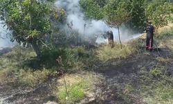 Malatya'da bahçe yangını paniğe neden oldu