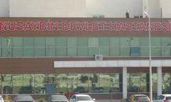 Mardin’de otomobilin çarptığı yaşlı adam hayatını kaybetti
