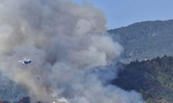 Muğla'da orman yangını 