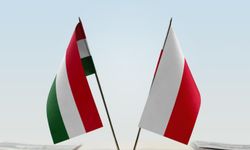Polonya, siyasi sığınma anlaşmazlığı nedeniyle Macaristan'daki büyükelçisini geri çağırdı