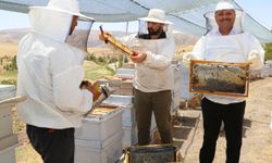 Siirt Üniversitesi bünyesinde bereketli bal hasadı gerçekleştirildi