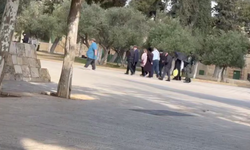 Siyonist Yahudiler Mescid-i Aksa'ya baskın düzenledi