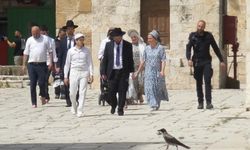 Siyonist Yahudiler Mescid-i Aksa'yı basarak Talmud ayinleri düzenledi