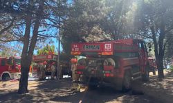 Sultangazi Kent Ormanı'ndaki yangın kontrol altına alındı
