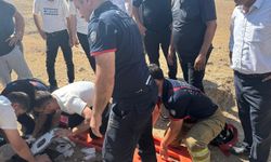 Tır ile hafif ticari araç çarpıştı: 2 yaralı