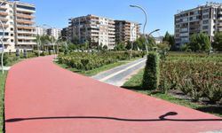 Türkiye sıcaklarla kavrulurken, kuzeydoğu bölgesinde sağanaklar etkili olacak