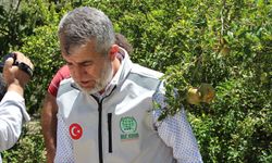 Umut Kervanı, Hatay’daki yangın mağdurlarının yanında