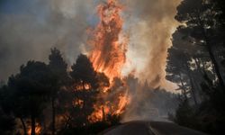Yunanistan'da orman yangını 