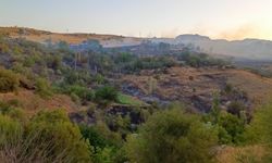 Adıyaman'da çıkan bağ ve bahçe yangınları söndürüldü