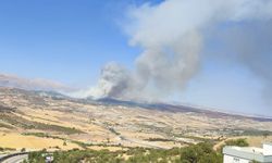 Adıyaman'da ormanlık alanda çıkan yangın devam ediyor