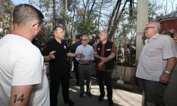 Bakan Yerlikaya'dan Çanakkale'deki orman yangınları hakkında açıklama