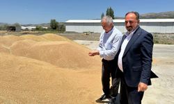 Bingöl’de 2 bin 750 ton buğday hasat edildi